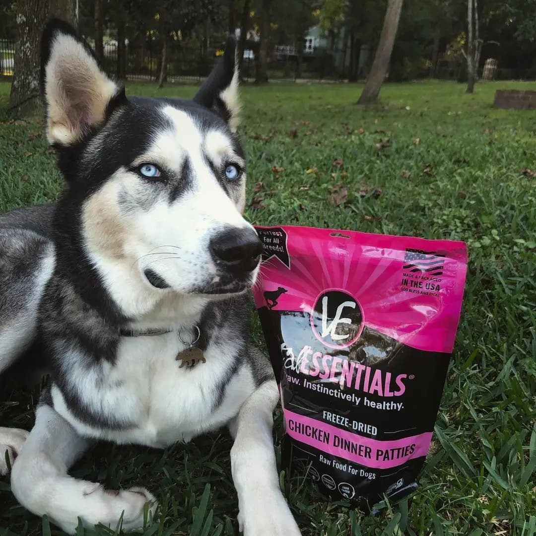 Raw Food Diet for Dogs & Cats: A Beginner's Guide to Feeding Your Pet a Natural and Nutritious Diet