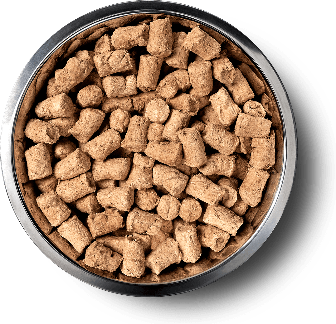 VE_InBowl_SoftNibs_Dog_BeefSalmon_Benefits of Freeze Dried.png